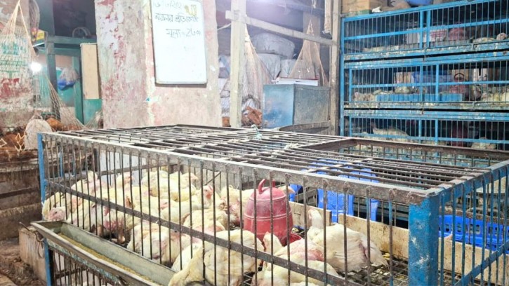 ব্রয়লারের কেজি ২৩০, সপ্তাহের ব্যবধানে দাম বাড়ল ৫০ টাকা