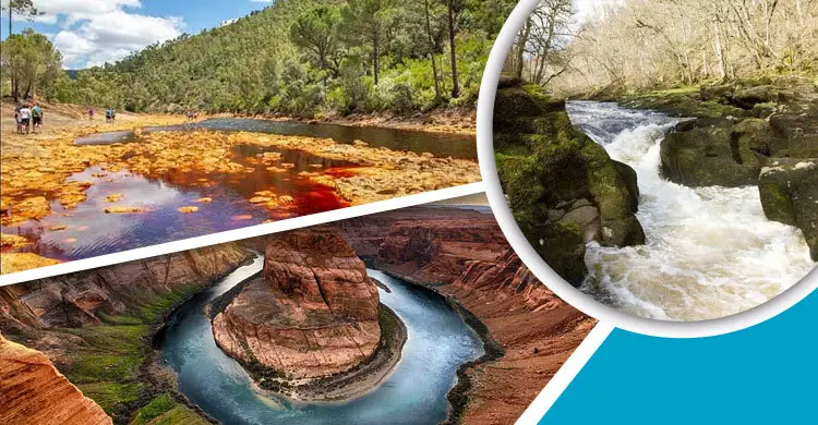 নিস্তেজ পৃথিবীর বিলাপ